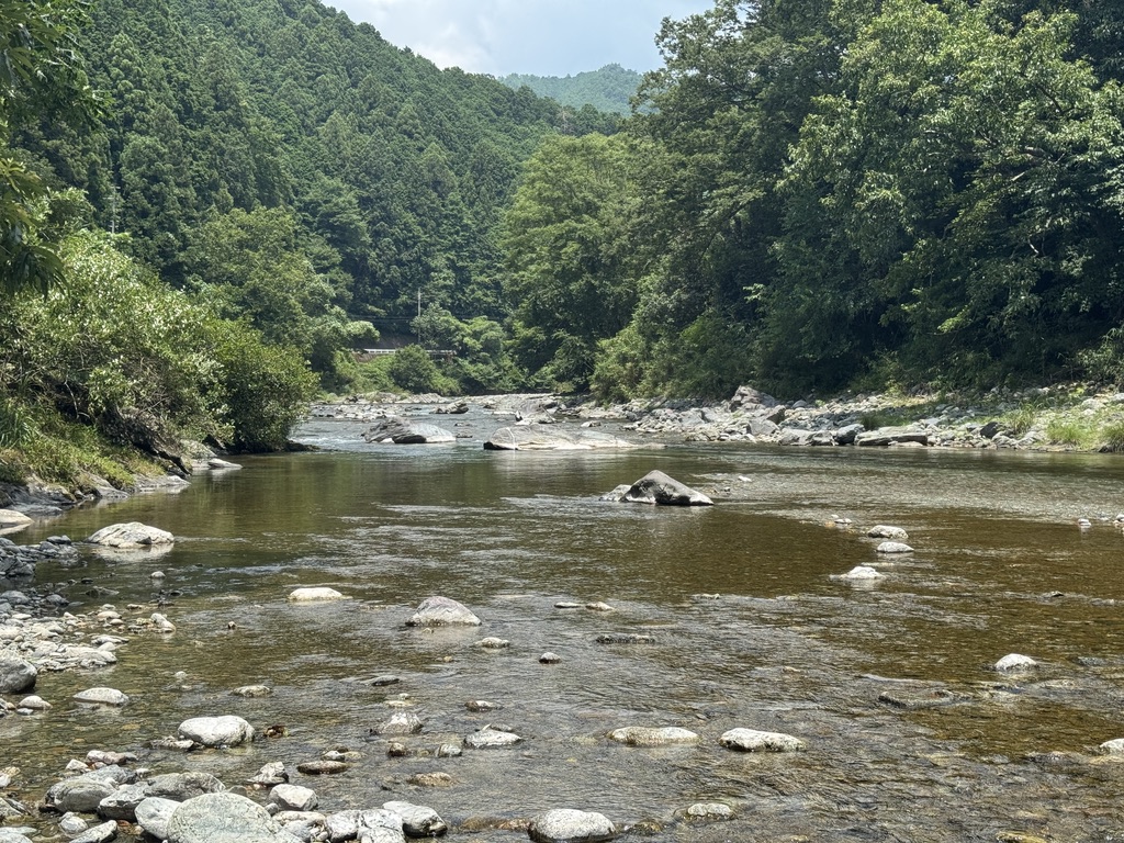 高見川の河原